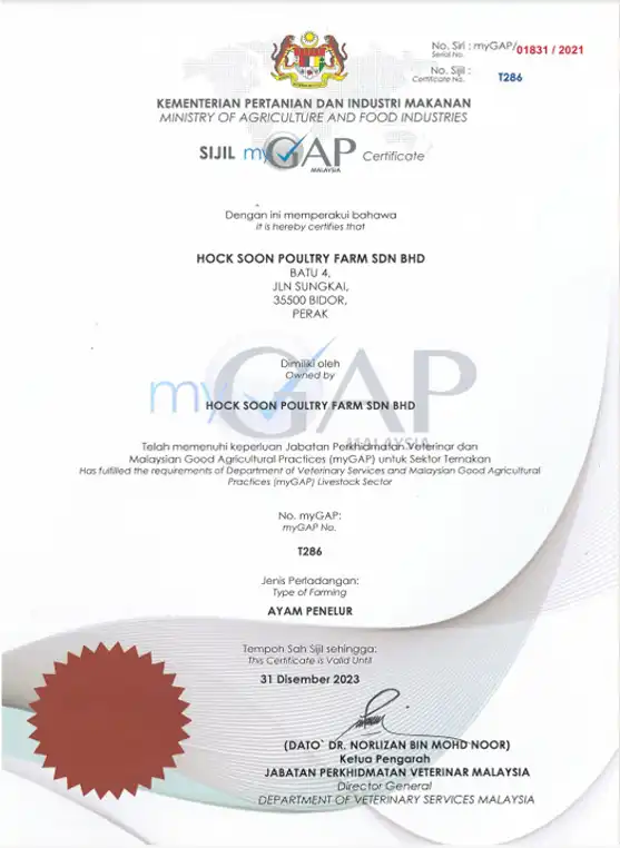 mGAP Certificate