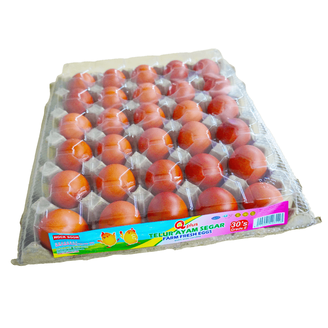 QPlus Grade E (30 pieces)