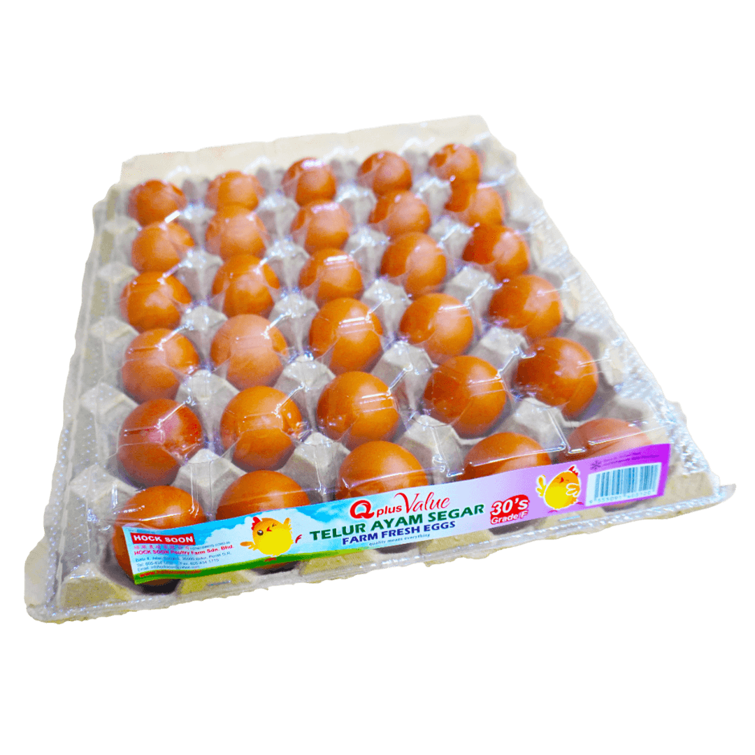 QPlus Grade F (30 pieces)